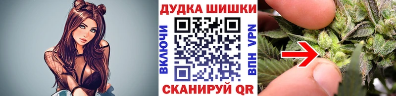 как найти Дубовка Марихуана гибрид
